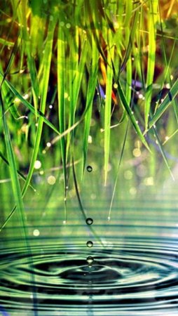 Заставка на нокиа стандартная