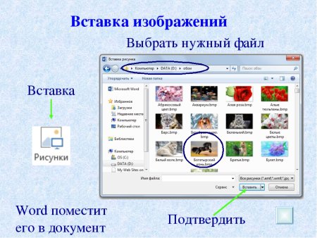 Вставка рисунков в текстовый документ