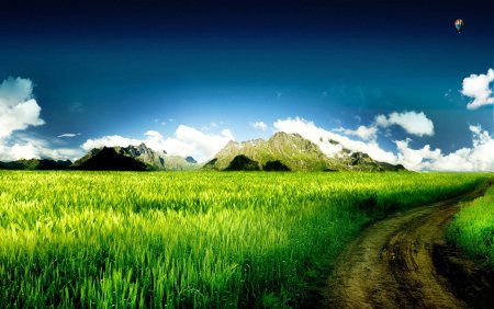 Обои на рабочий стол 1920х1080 природа Солнечная погода