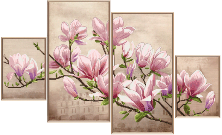 Магнолия Суланжа новая Слобода