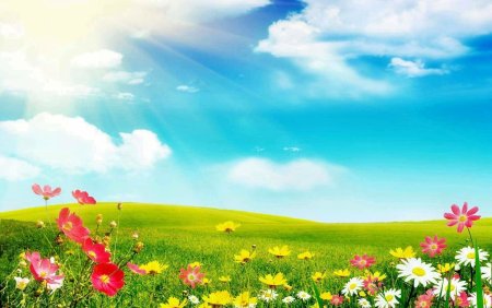 Фон для презентации природа