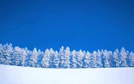 Винтер Сноу