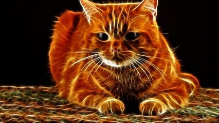Огненно рыжий кот