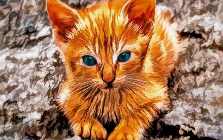 Рыжий кот аватарка