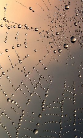 Темы на телефон