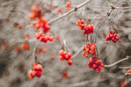 Поздняя осень на рабочий стол