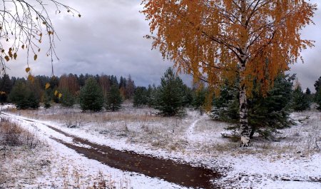 Поздняя осень фото