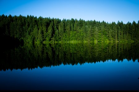 Пейзаж Формат bmp