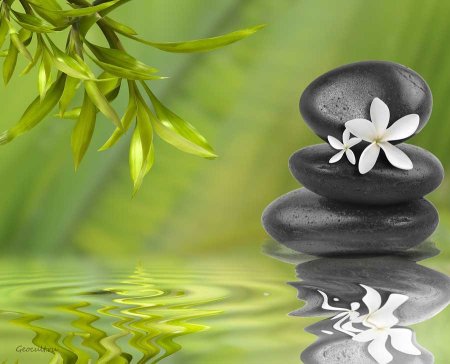 Фен шуй атрибуты