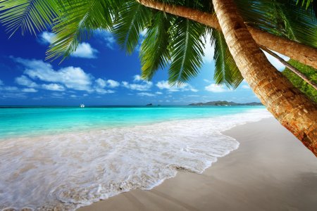 Карибское море пляж Баунти