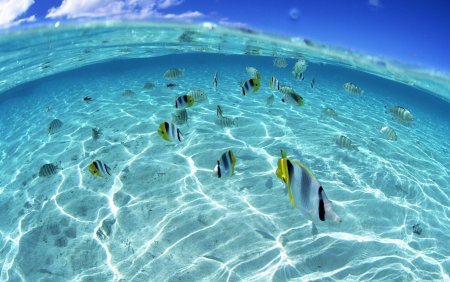 Обои на рабочий стол море