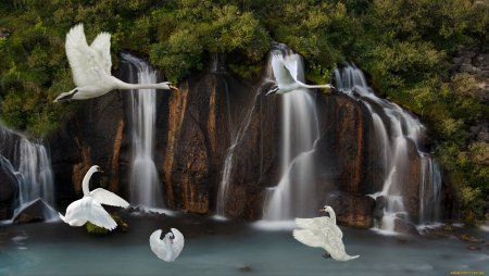 Лебеди и водопады