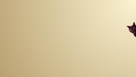 Фоны для презентации минималистичные