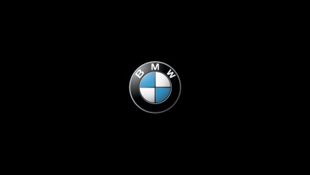 BMW logo 2000