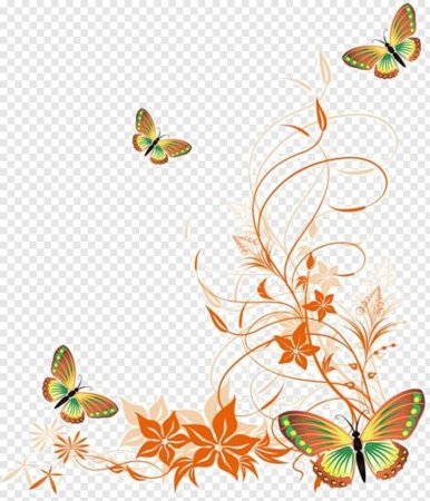 Бабочки цветочки