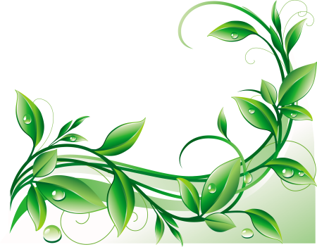 Зеленая веточка