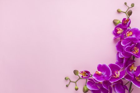 Фон для прайс листа салона красоты