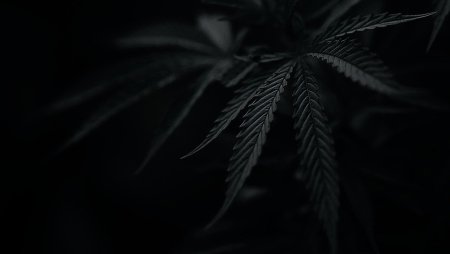 Черная заставка на рабочий стол