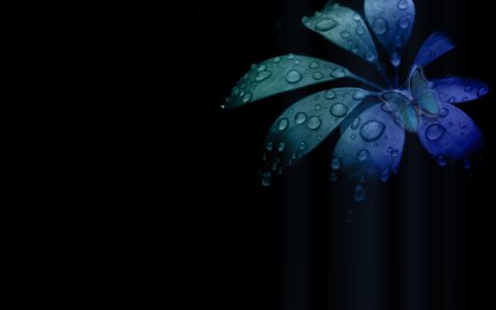 Обои на рабочий стол темный фон