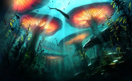 Фантастический подводный мир