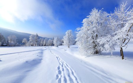 Красивая зима