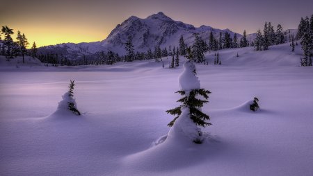 Настоящая зима