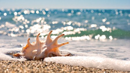 Обои на рабочий стол море