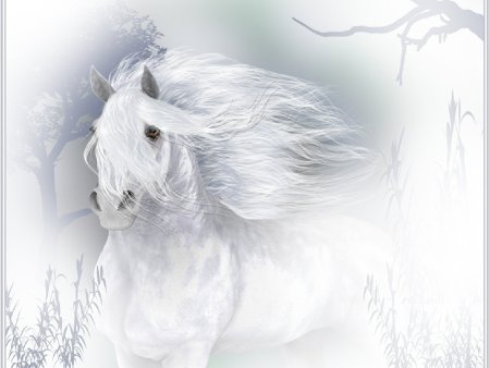 Лошадь на Светлом фоне