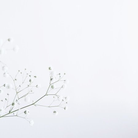 Фон с веточками