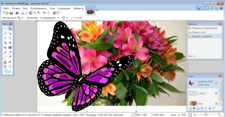 Как изменить фон картинки на белый в Paint
