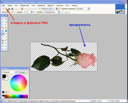 Прозрачный фон в графическом редакторе