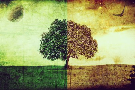 Дерево пополам