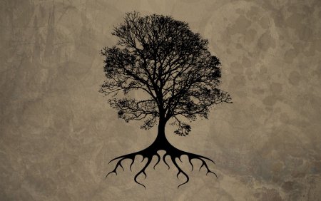 Корни дерева