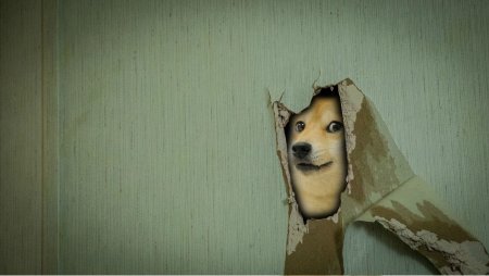 Кот Минимализм