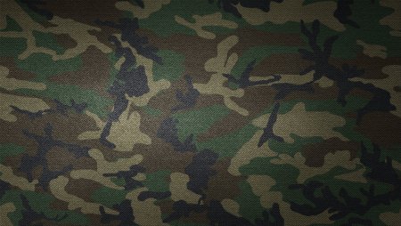 Расцветка Камо ku 206