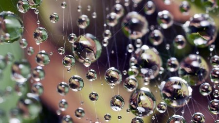 Красивые капли воды