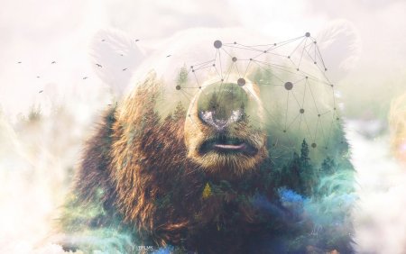 Двойная экспозиция медведь Гризли