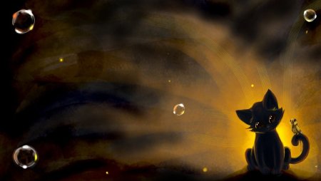 Милые котики на темном фоне