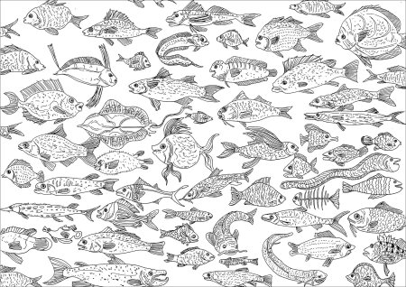 Узор из рыбок