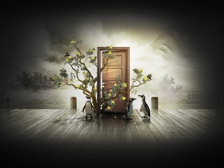 Открытая дверь