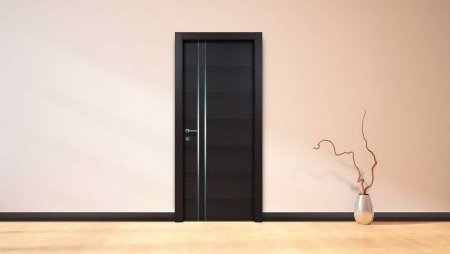 Входные двери в интерьере