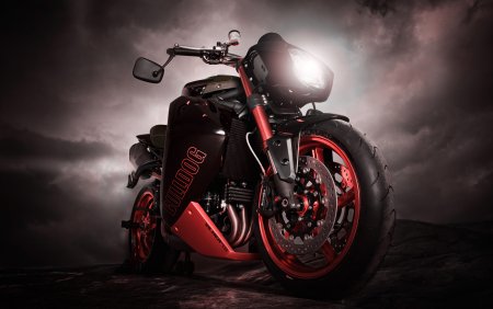 Triumph Speed Triple Bulldog