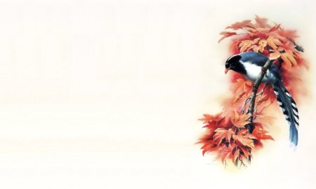 Красивый фон с птицами