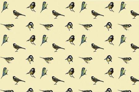 Фон мелкие птицы