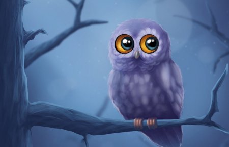 Обои на рабочий стол Сова арт