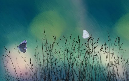 Бирюзовый цвет в природе