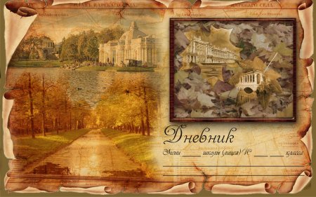 Обложка для дневника