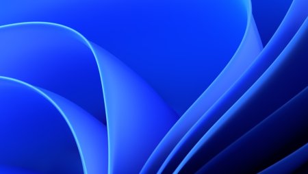 Windows logo 2022