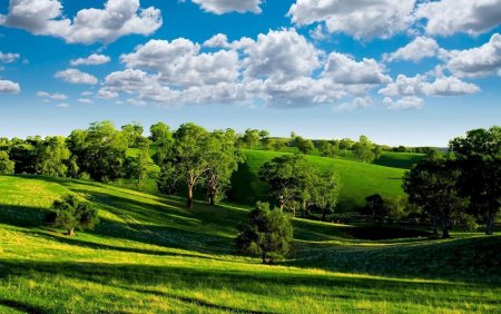 Летний пейзаж