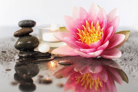 Лотос картина фен шуй